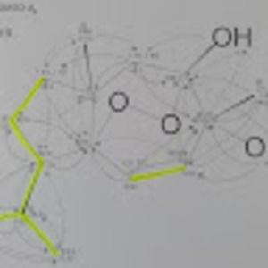 Meet your Posher, Chi-su